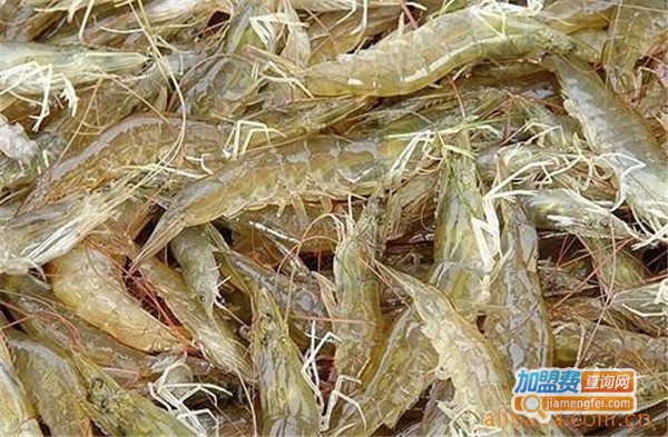 壹品优南美白对虾加盟费
