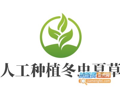 人工种植冬虫夏草加盟