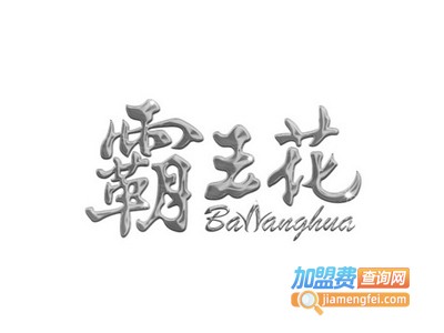霸王花男装加盟费