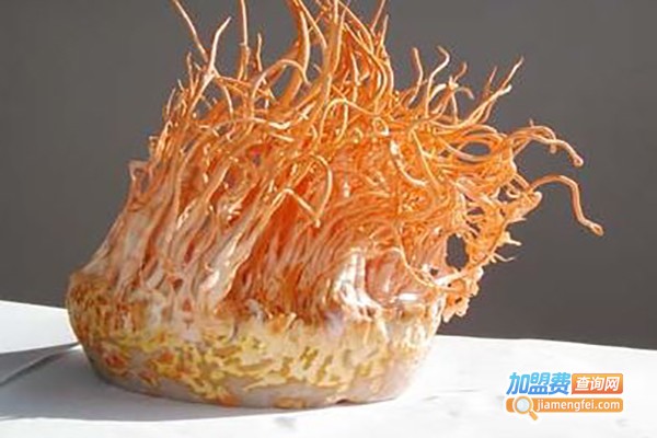 金土地北冬虫草加盟费