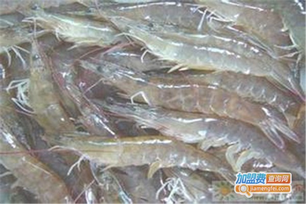 壹品优南美白对虾加盟费