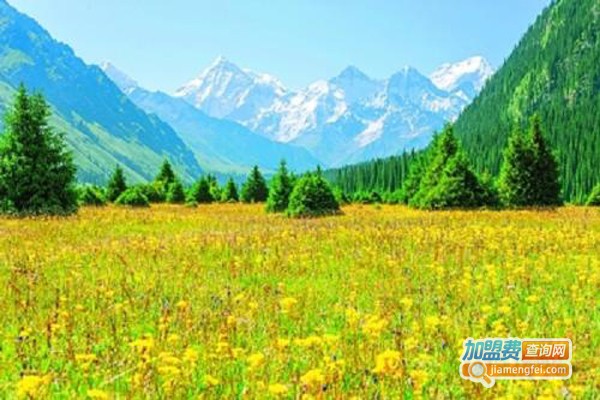 牧歌生态农业加盟费