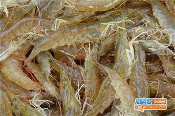 虹海隆泰南美白对虾加盟费