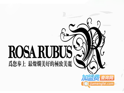 ROSA RUBUS开到荼蘼饰品加盟费