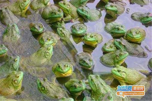 庄稼汉青蛙养殖加盟费