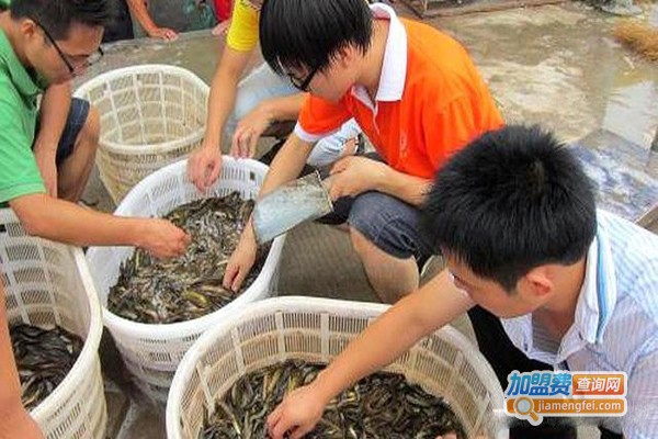 郎志泥鳅养殖加门店