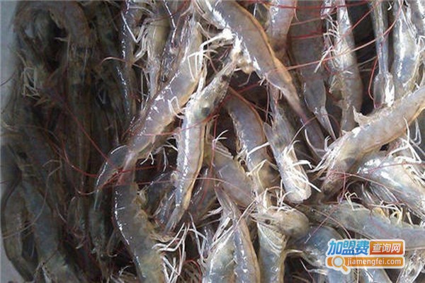 聚农湾对虾养殖加盟费
