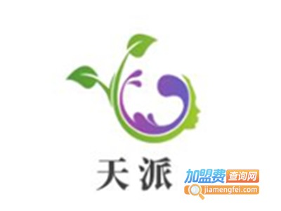 天派加盟费