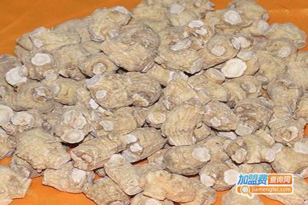 美国生命力龙葵参加盟费