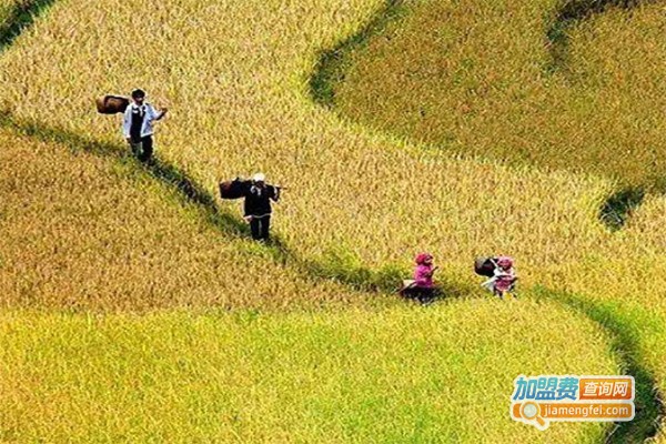 锦绣大地农业加盟费