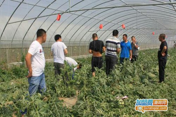 天成农业加盟门店