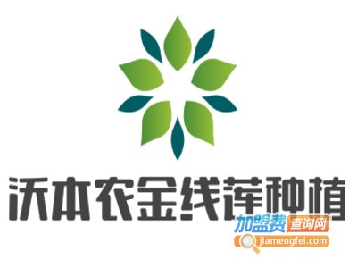 沃本农金线莲种植加盟费