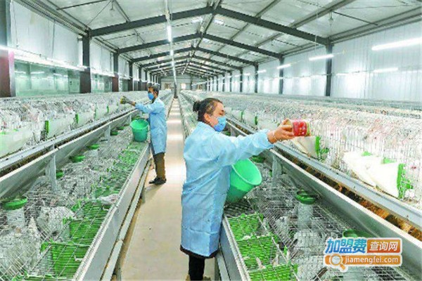 年连富养殖加盟费
