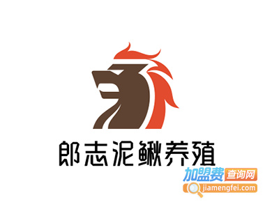 郎志泥鳅养殖加盟费