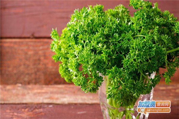 精创溢仿真植物造景加盟费