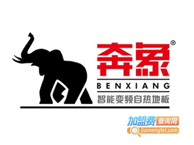 奔象自热地板加盟费