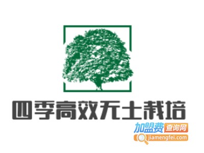 四季高效无土栽培加盟费