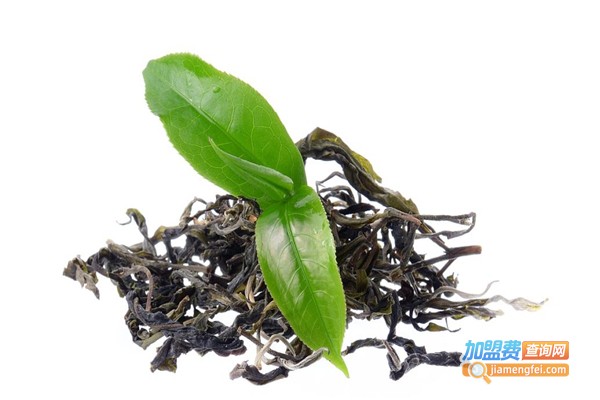东晟铁皮石斛加盟费