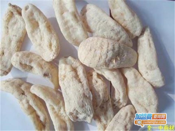 邓村望氏天麻加盟门店