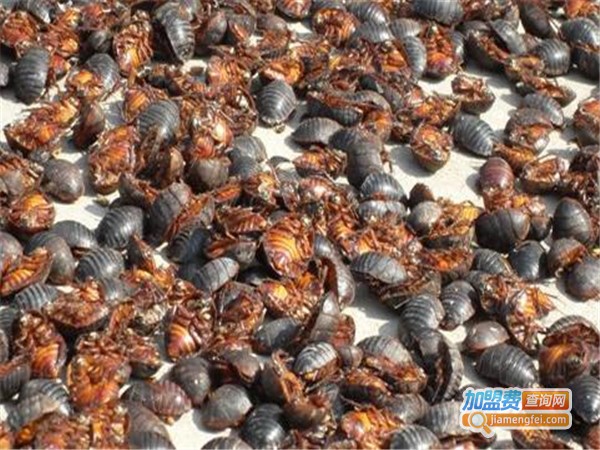 南江9号土元加盟门店