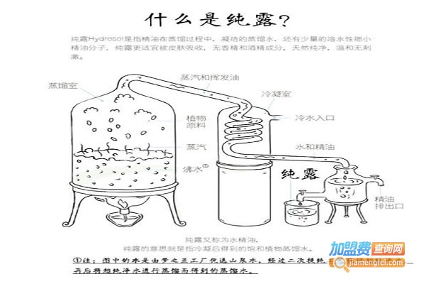 够菲花疗精露萃取仪加盟费