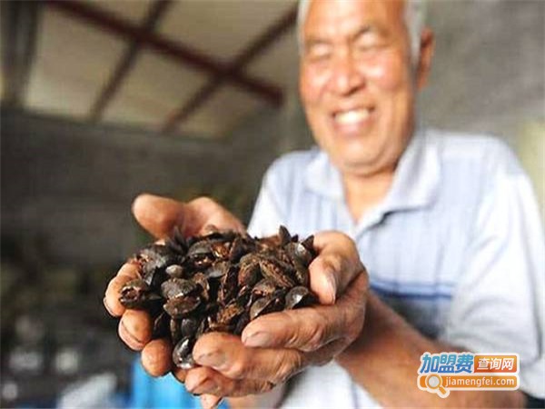南江9号土元加盟门店