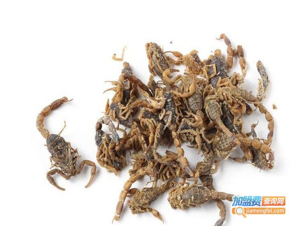 金瑞全蝎加盟费