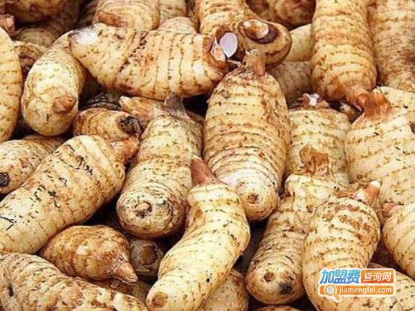金航乌红杂交天麻加盟费