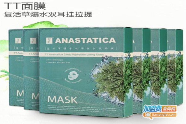 台湾TT面膜加盟费