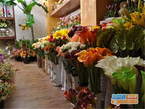 彩云间花艺坊加盟门店