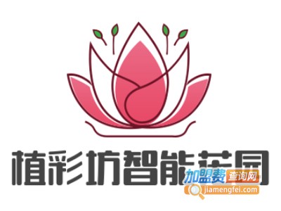 植彩坊智能加盟费