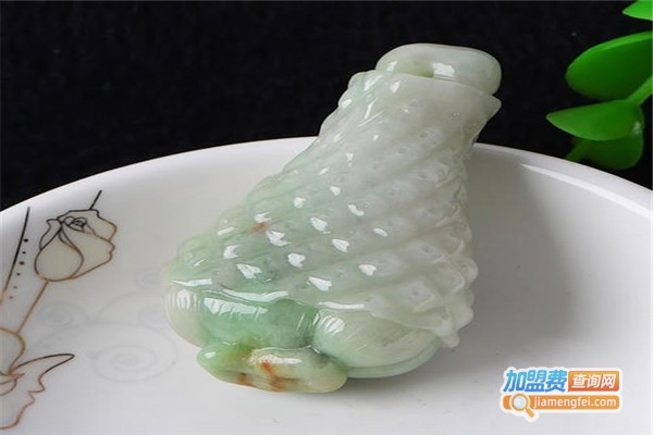 翡玉奇画加盟费