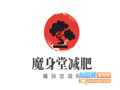 魔身堂减肥加盟电话