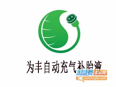 为丰自动充气补胎液加盟费