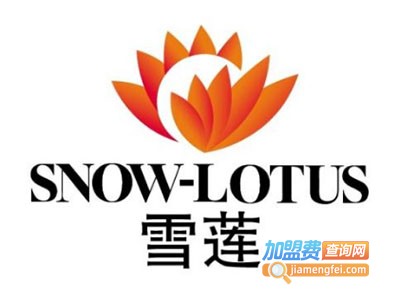 雪莲化妆品加盟费