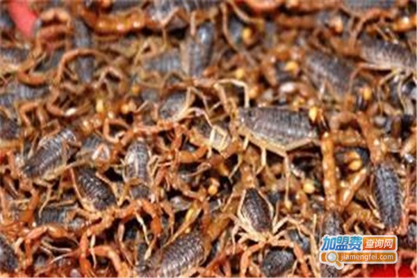 神农九号金蝎特种养殖加盟费
