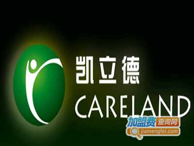 凯立德甲醇控制器加盟费