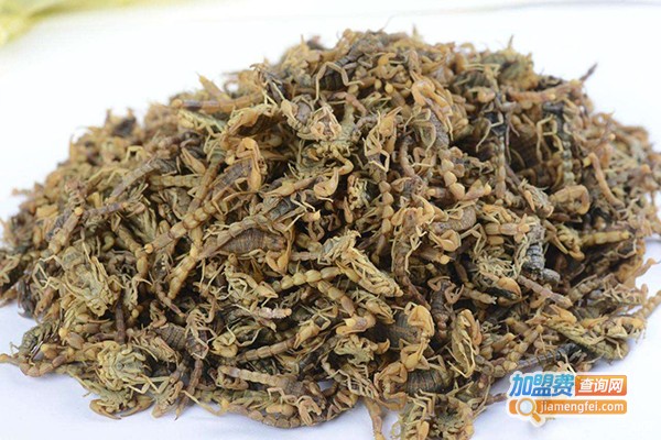 浩丰9号全蝎加盟