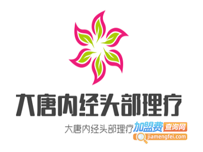 大唐内经头部理疗加盟费