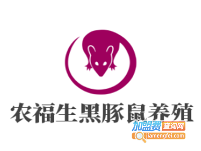 农福生黑豚鼠养殖加盟费