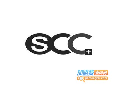 scc汽车坐垫专业清洗加盟费