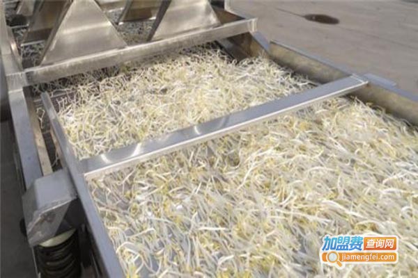 青州科发豆芽机加盟门店