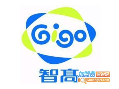 智高科学大卫营儿童教育加盟电话