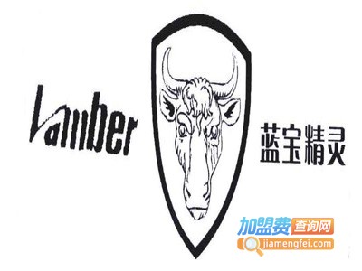蓝宝精灵锅炉加盟费