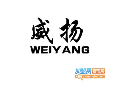 威扬智能车衣加盟费