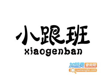 小跟班平衡车加盟电话