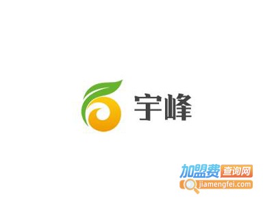 宇峰保健食品加盟费