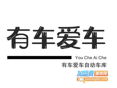 有车爱车自动车库加盟
