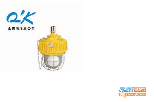 永嘉海洋王灯具加盟费