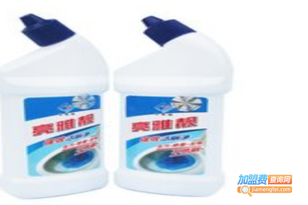 亮雅靓洗涤用品加盟费